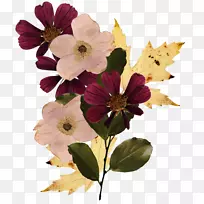 ����������-����-������