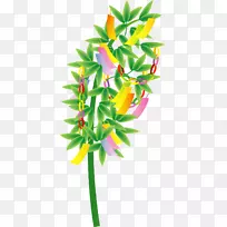 ��������л�ֲ�ﾥҶ�����ļ���-������