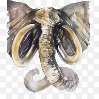 水彩1,2,3绘画水彩画画家插图.象线画材料图-空若网 水彩1,2,3绘画水彩画画家插图.象线画材料图-空若网