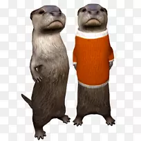 芥菜类啮齿动物鼻子-空若网 芥菜类啮齿动物鼻子-空若网