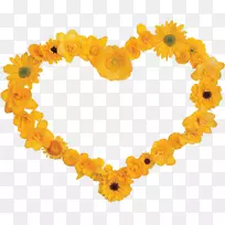 珠宝首饰-空若网 珠宝首饰-空若网