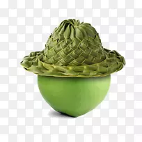 蔬菜花盆-蔬菜-空若网 蔬菜花盆-蔬菜-空若网