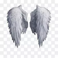 ������-������