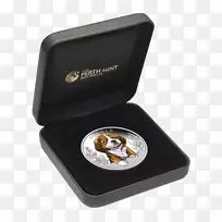 比格珀斯薄荷边境牧羊犬粗野牧羊犬小狗-空若网 比格珀斯薄荷边境牧羊犬粗野牧羊犬小狗-空若网