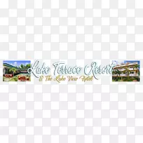 花卉设计草品牌字体设计-空若网 花卉设计草品牌字体设计-空若网