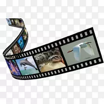 摄影胶片摄影品牌设计-空若网 摄影胶片摄影品牌设计-空若网