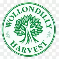 收获农民果园农业-蔬菜市场-空若网 收获农民果园农业-蔬菜市场-空若网