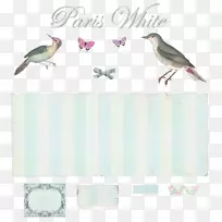 �ù�԰С��������ϵ���ë��ʯ-��ë-������