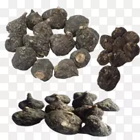 下载google图片图标-充满黑马咖啡-空若网 下载google图片图标-充满黑马咖啡-空若网