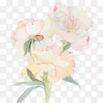 纸水彩画花画-空若网 纸水彩画花画-空若网