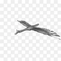 怀特-尤加-空若网 怀特-尤加-空若网