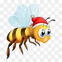 蜜蜂昆虫插图-蜜蜂帽-空若网 蜜蜂昆虫插图-蜜蜂帽-空若网