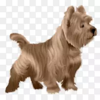 ÅµÎ¬ÆæÁÔÈ®¸ñÂ×ŵ¸£¿ËÁÔÈ®°Ä´óÀûÑÇÁÔÈ®¿¶÷ÁÔÈ®-¿ÕÈôÍø ÅµÎ¬ÆæÁÔÈ®¸ñÂ×ŵ¸£¿ËÁÔÈ®°Ä´óÀûÑÇÁÔÈ®¿¶÷ÁÔÈ®-¿ÕÈôÍø