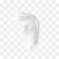 白色黑色图案羽毛翅膀-空若网 白色黑色图案羽毛翅膀-空若网