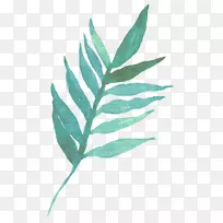 Ò¶Ë®²Ê»ÅŰæ.Ò¶-¿ÕÈôÍø Ò¶Ë®²Ê»ÅŰæ.Ò¶-¿ÕÈôÍø