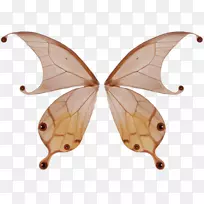 蝴蝶翼-装饰性蝴蝶翅膀-空若网 蝴蝶翼-装饰性蝴蝶翅膀-空若网