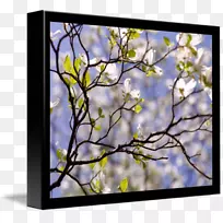 ���Ȱ�װ����ɽ���ǻ����׼.au.150����v.unc.nr�������-ɽ���ǻ�-������