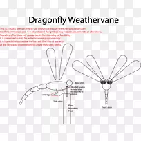 画线设计-空若网 画线设计-空若网