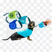 狗繁殖小狗带鼻子-维纳-狗-空若网 狗繁殖小狗带鼻子-维纳-狗-空若网