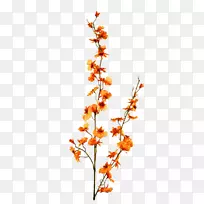 红橙花束-空若网 红橙花束-空若网