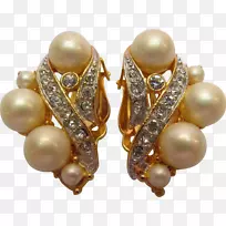 �������������.�鱦-������