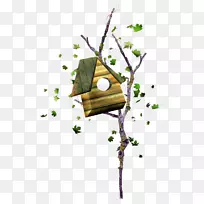 鸟巢盒动画剪贴画-在树枝上筑巢-空若网 鸟巢盒动画剪贴画-在树枝上筑巢-空若网