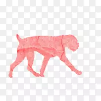 �����ӹ��·��ӽ��칷-������