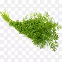 菜籽沙拉菊花配料-空若网 菜籽沙拉菊花配料-空若网