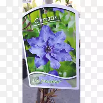 �廨Ƥ��-������-������