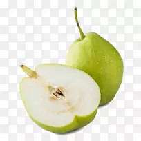 库尔勒梨(Pyrus Nivalis Pyrus Xd 7 Bretschneideri)-空若网 库尔勒梨(Pyrus Nivalis Pyrus Xd 7 Bretschneideri)-空若网