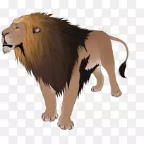 ��è½������Ұ���������è-������