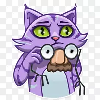 胡须猫鼻子夹艺术猫-空若网 胡须猫鼻子夹艺术猫-空若网