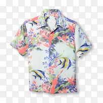 ������Ŧ����Ͷ�˹&�������������-������