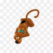 ������������񣬱���-��-������