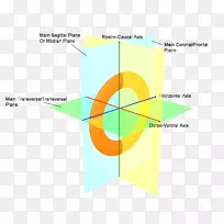 图线角线-空若网 图线角线-空若网