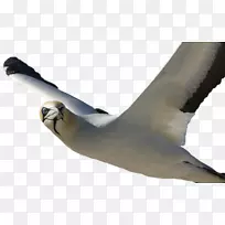 绘画广告赞助商-绘画-空若网 绘画广告赞助商-绘画-空若网