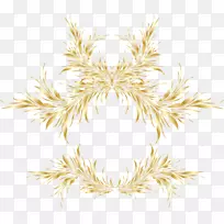 �����ֽ��ͼ��-����-������