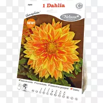 ��ͨ���տ����Ӵ������ջ����տ�-������