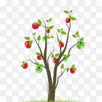 果树-空若网 果树-空若网