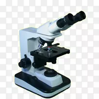 ��΢��-��΢��-������