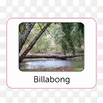 本迪戈植物园公共花园-空若网 本迪戈植物园公共花园-空若网