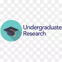 华威大学市场研究学院本科生研究-空若网 华威大学市场研究学院本科生研究-空若网