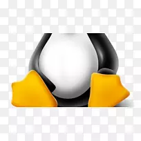 Linux薄荷快照ubuntu linux内核-linux-空若网 Linux薄荷快照ubuntu linux内核-linux-空若网