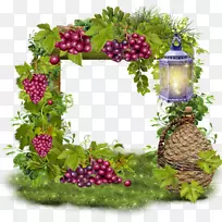 葡萄酒博客剪贴画-葡萄-空若网 葡萄酒博客剪贴画-葡萄-空若网