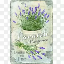纸普罗旺斯,复古服装,法国薰衣草脱钩页-空若网 纸普罗旺斯,复古服装,法国薰衣草脱钩页-空若网