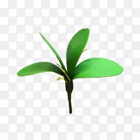 叶植物茎,人工花兰花-叶-空若网 叶植物茎,人工花兰花-叶-空若网