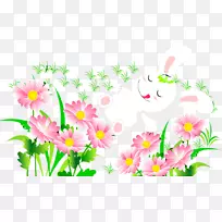 花卉设计菊花花束切花-菊花-空若网 花卉设计菊花花束切花-菊花-空若网