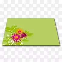 花卉设计矩形开花植物.设计-空若网 花卉设计矩形开花植物.设计-空若网