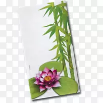 ������ƻ���Ҷ����ֲ��.���-������