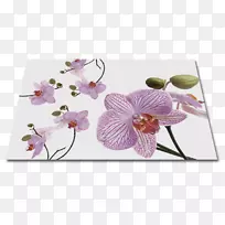 飞蛾兰花图案切花花瓣设计-空若网 飞蛾兰花图案切花花瓣设计-空若网